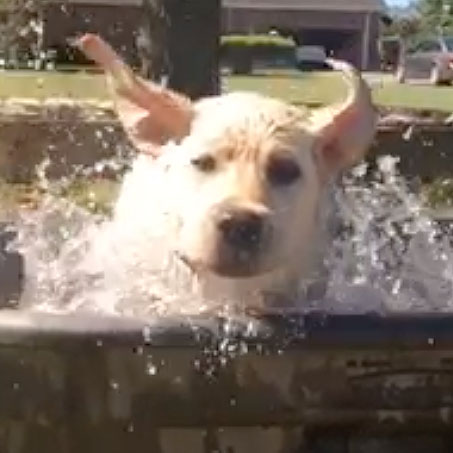 It’s SWIM TIME!