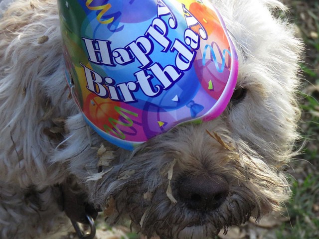 Happy Birthday Ellie!