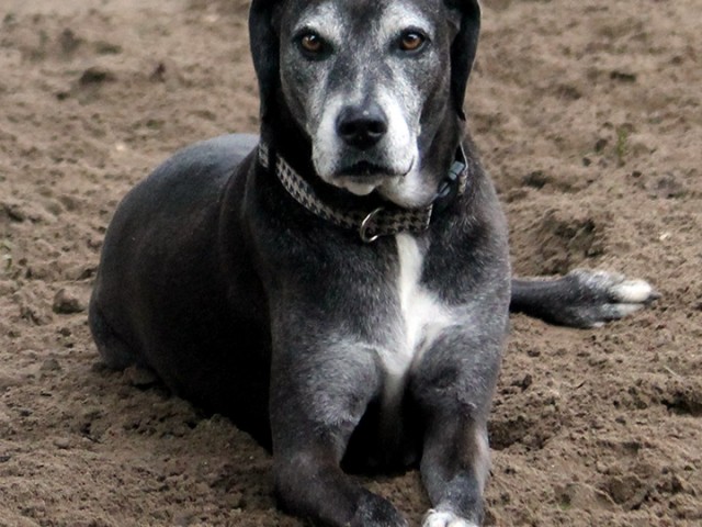 We say goodbye to Emmit